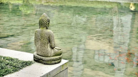 Meditations Retreat, Buddha Statue